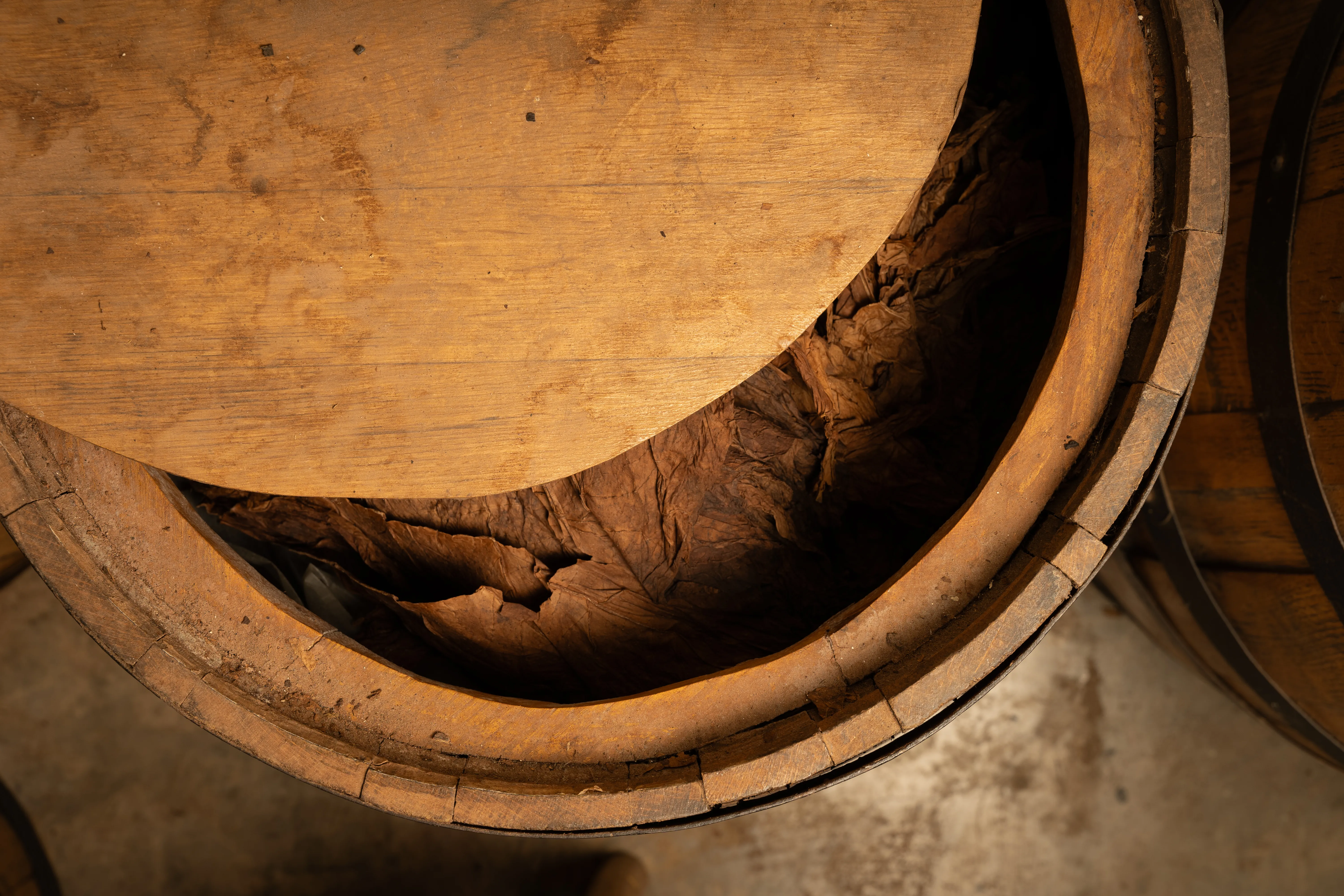 kiskeya dried tabacco